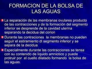 FORMACION DE LA BOLSA DE LAS AGUAS La separación de las membranas ovulares producto de las contracciones y de la formación del segmento inferior se desprende de la cavidad uterina separando la decidua del corion Durante las contraciones  la membranas no pueden seguir el estiramiento dl segmento inferior y se separa de la decidua Especialmente durante las contracciones se tensa con su contenido de liquido amniotico y puede protruir por  el cuello dilatado formando  la bolsa de las aguas. 