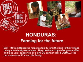 HONDURAS:  Farming for the future Erik (11) from Honduras helps his family farm the land in their village using eco-friendly techniques. They produce crops of organic coffee and aloe vera, supported by a CAFOD partner called COMAL. Find out more about Eric and his family… 