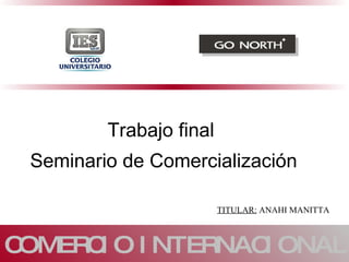 COMERCIO INTERNACIONAL Trabajo final  Seminario de Comercialización TITULAR:  ANAHI MANITTA 
