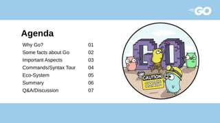 Why Go? 01
Some facts about Go 02
Important Aspects 03
Commands/Syntax Tour 04
Eco-System 05
Summary 06
Q&A/Discussion 07
Agenda
 