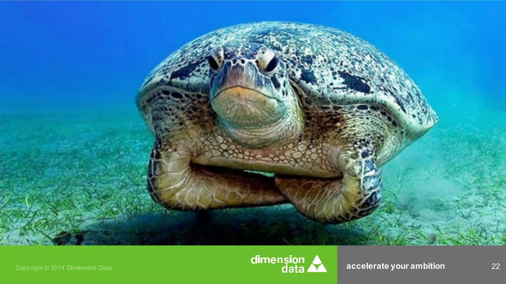 accelerate your ambition 22Copyright © 2014 Dimension Data
 