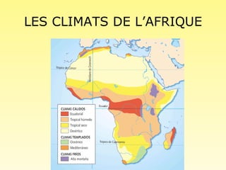 LES CLIMATS DE L’AFRIQUE 
