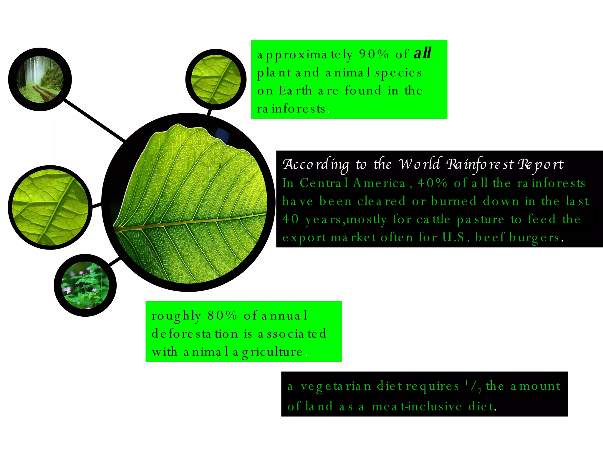 approximately 90% of  all  plant and animal species on Earth are found in the rainforests . roughly 80% of annual deforestation is associated with animal agriculture . According to the World Rainforest Report In Central America, 40% of all the rainforests have been cleared or burned down in the last 40 years,mostly for cattle pasture to feed the export market often for U.S. beef burgers . a vegetarian diet requires  1 / 7  the amount of land as a meat-inclusive diet . 
