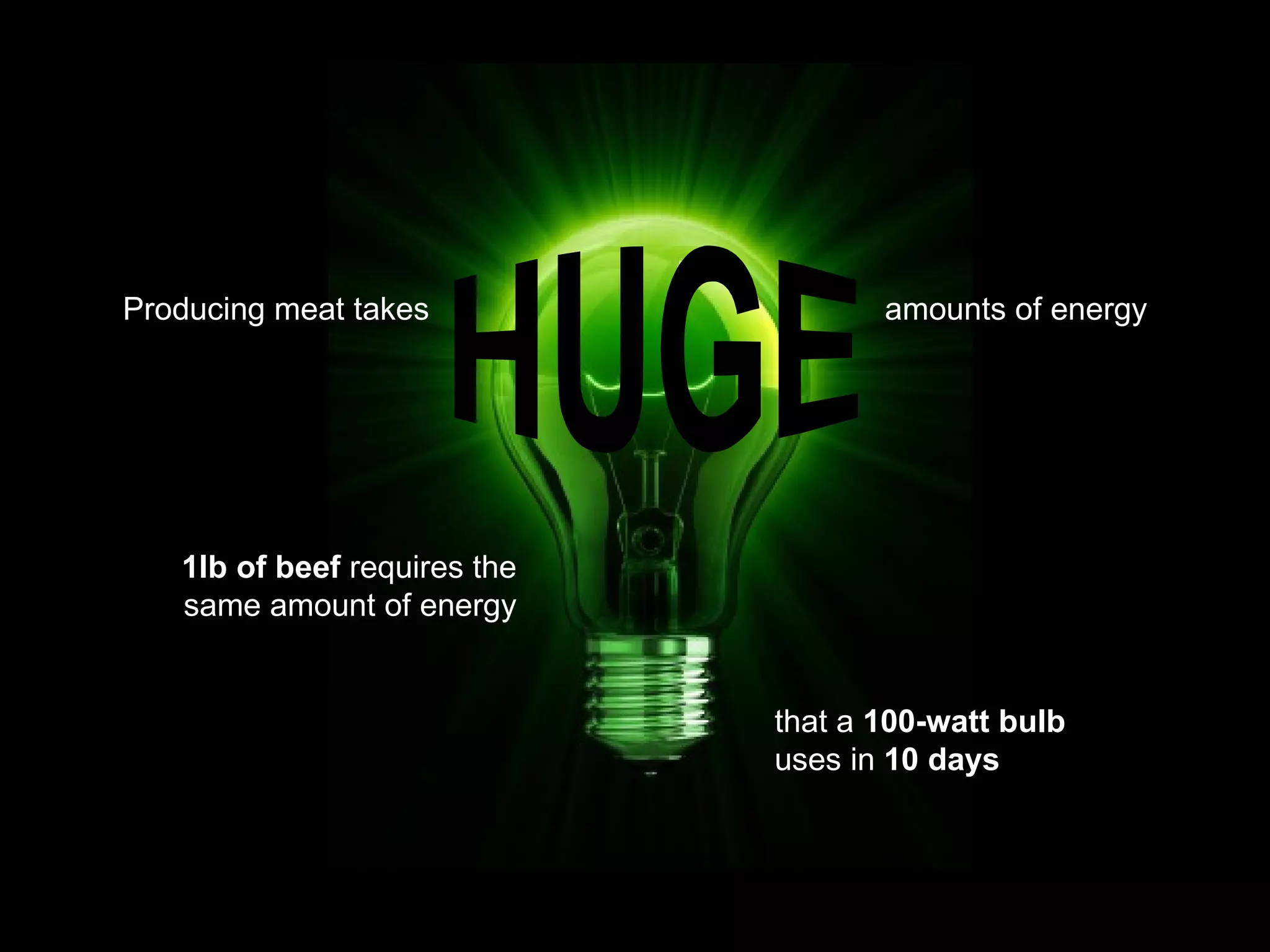 Producing meat takes amounts of energy HUGE that a  100-watt bulb uses in  10 days 1lb of beef  requires the same amount of energy 