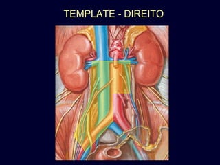 TEMPLATE - DIREITO 