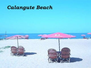 Calangute Beach 