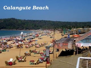 Calangute Beach 