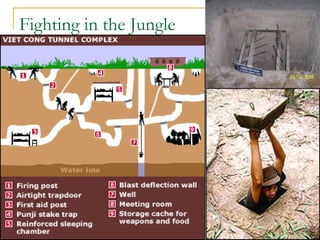 Fighting in the Jungle
 