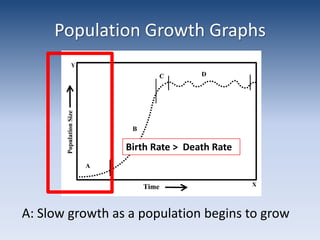 Population Growth GraphsBirth Rate >  Death RateA: Slow growth as a population begins to grow