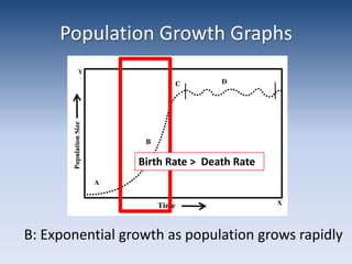 Population Growth GraphsBirth Rate >  Death RateB: Exponential growth as population grows rapidly