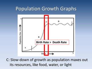Population Growth GraphsBirth Rate >  Death RateC: Slow-down of growth as population maxes out its resources, like food, water, or light