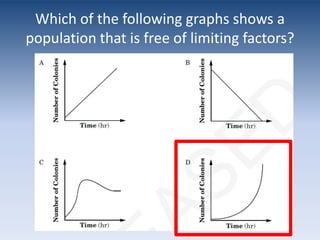 Which of the following graphs shows a population that has reached carrying capacity?