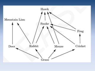 POPULATION TASKWhat are the effects of an overpopulation of deer? Why is it a problem?What are some natural ways to control the deer populationWhat are some ways that humans can help control the deer population?
