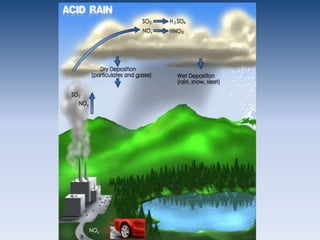 PollutionOzone Layer DestructionCFCs:chlorofluorocarbons – released into the air through old refrigerator and spray cans, destroy ozone layer.Low ozone leadstohigh UV radiationUV radiation: can cause skin cancer through mutation