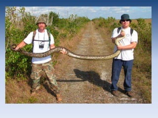 What Can We Do?Use renewable resources for energyWater, wind, solar, and geothermal energy