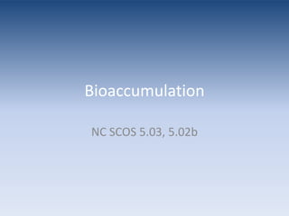 Quick VocabularyAutotroph: makes its own energy, a producerHeterotroph: gets its energy from somewhere else, a consumer