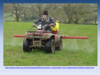 BioacummulationEach level of organisms above the grass in the food web will accumulate more and more of the toxin because they eat so much of the level below themFor example, the mouse eats a large amount of grass, and stores all of the toxins in its body. Then the snake eats many mice, storing all of their toxins. Finally the hawk eats many snakes and stores all of their toxins in its body