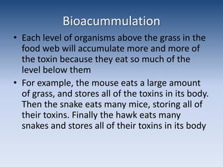 BioaccumulationEats 10 snakes= 1gEats 100 mice = .1gEats 1,000 grasses = .001g1 grass has 0.000001g 