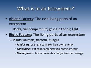 What is in an Ecosystem?Abiotic Factors: The non-living parts of an ecosystemRocks, soil, temperature, gases in the air, lightBiotic Factors: The living parts of an ecosystemPlants, animals, bacteria, fungusProducers: use light to make their own energyConsumers: eat other organisms to obtain energyDecomposers: break down dead organisms for energy