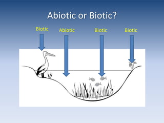 Abiotic or Biotic?BioticBioticBioticAbiotic