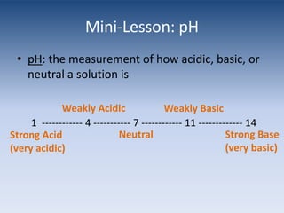 Mini-Lesson: pHpH: the measurement of how acidic, basic, or neutral a solution is1  ------------ 4 ----------- 7 ------------ 11 ------------- 14Weakly AcidicWeakly BasicNeutralStrong Base(very basic)Strong Acid(very acidic)