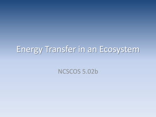 Energy Transfer in an EcosystemNCSCOS 5.02b