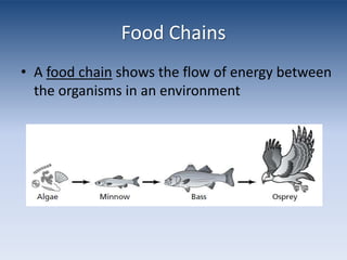 Food ChainsA food chain shows the flow of energy between the organisms in an environment