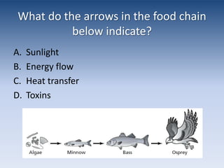 What do the arrows in the food chain below indicate?SunlightEnergy flowHeat transferToxins