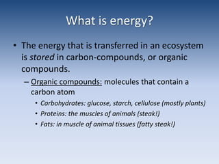 What is energy?The energy that is transferred in an ecosystem is stored in carbon-compounds, or organic compounds.Organic compounds: molecules that contain a carbon atomCarbohydrates: glucose, starch, cellulose (mostly plants)Proteins: the muscles of animals (steak!)Fats: in muscle of animal tissues (fatty steak!)