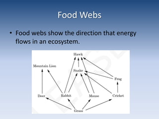 Food WebsFood webs show the direction that energy flows in an ecosystem.