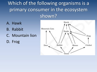 Which of the following organisms is a primary consumer in the ecosystem shown?HawkRabbitMountain lionFrog