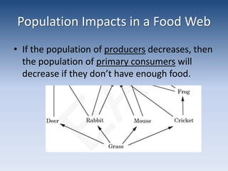 Population Impacts in a Food WebIf the population of producers decreases, then the population of primary consumers will decrease if they don’t have enough food.