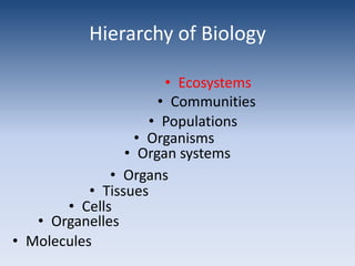 Hierarchy of BiologyEcosystemsCommunitiesPopulationsOrganismsOrgan systemsOrgansTissuesCellsOrganellesMolecules