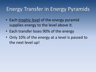 Energy Transfer in Energy PyramidsEach trophic level of the energy pyramid supplies energy to the level above it.Each transfer loses 90% of the energyOnly 10% of the energy at a level is passed to the next level up!