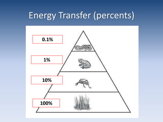 Energy Transfer (percents)0.1%1%10%100%