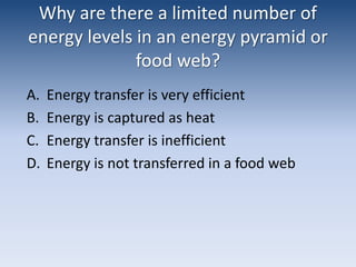 Why are there a limited number of energy levels in an energy pyramid or food web?Energy transfer is very efficientEnergy is captured as heatEnergy transfer is inefficientEnergy is not transferred in a food web