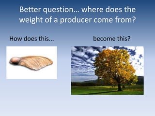 Better question… where does the weight of a producer come from?How does this...                         become this?