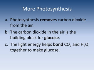 More PhotosynthesisPhotosynthesis removes carbon dioxide from the air.The carbon dioxide in the air is the building block for glucose.The light energy helps bond CO2and H2O together to make glucose.