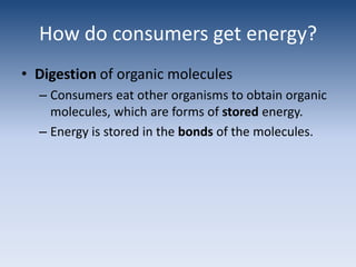 How do consumers get energy?Digestionof organic moleculesConsumers eat other organisms to obtain organic molecules, which are forms of stored energy.Energy is stored in the bonds of the molecules.