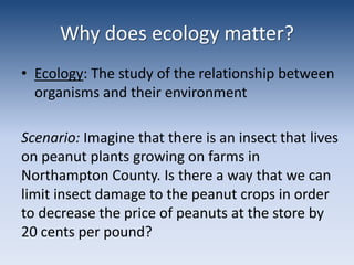 Why does ecology matter?Ecology: The study of the relationship between organisms and their environmentScenario: Imagine that there is an insect that lives on peanut plants growing on farms in Northampton County. Is there a way that we can limit insect damage to the peanut crops in order to decrease the price of peanuts at the store by 20 cents per pound?