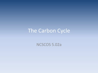 The Carbon CycleNCSCOS 5.02a