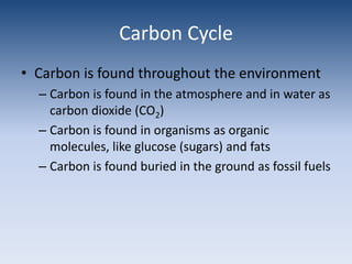 Carbon CycleCarbon is found throughout the environmentCarbon is found in the atmosphere and in water as carbon dioxide (CO2)Carbon is found in organisms as organic molecules, like glucose (sugars) and fatsCarbon is found buried in the ground as fossil fuels