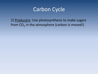 Carbon Cycle2) Producers: Use photosynthesis to make sugars from CO2 in the atmosphere (carbon is moved!)