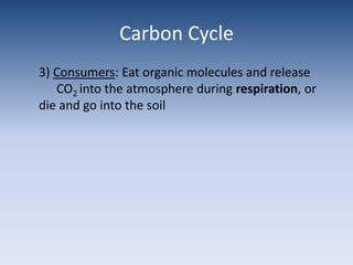 Carbon Cycle3) Consumers: Eat organic molecules and release   	CO2 into the atmosphere during respiration, or die and go into the soil