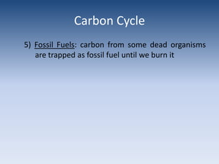 Carbon Cycle5) Fossil Fuels: carbon from some dead organisms   	are trapped as fossil fuel until we burn it