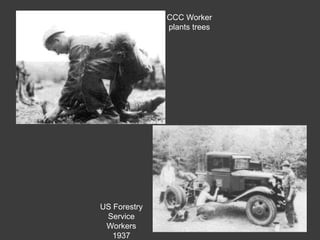 CCC Worker
plants trees
US Forestry
Service
Workers
1937
 
