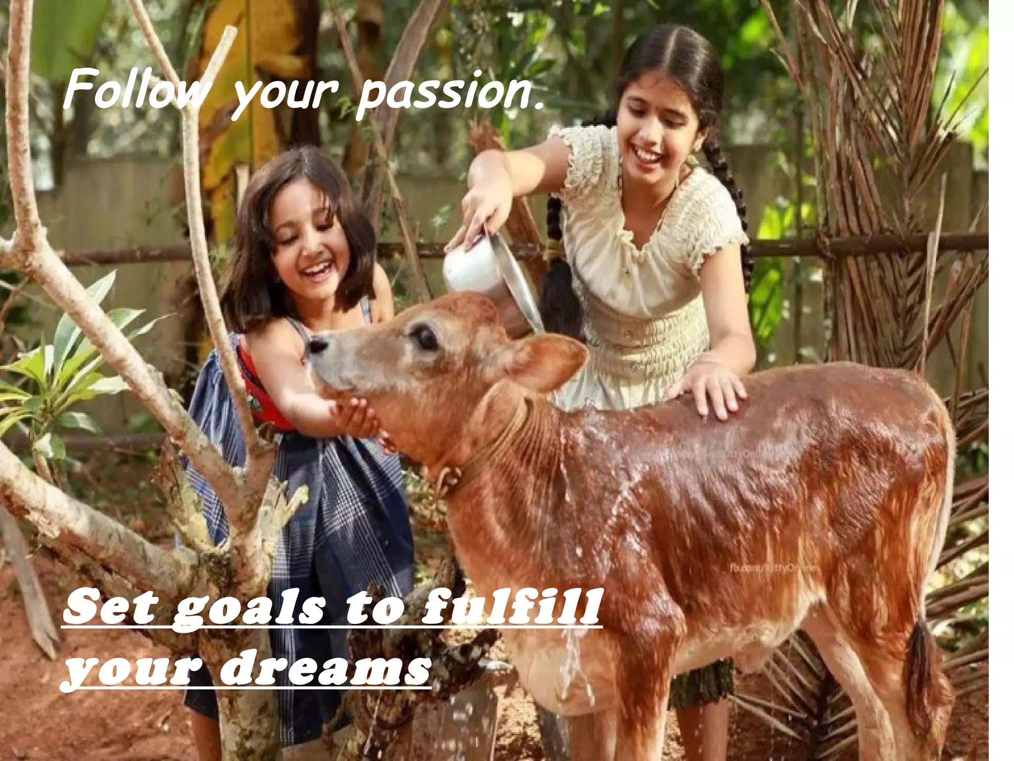 Follow your passion.
Set goals to fulfill
your dreams
 