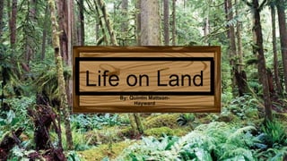 By: Quintin Mattson-
Hayward
Life on Land
 
