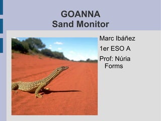 GOANNA
Sand Monitor
         Marc Ibáñez
         1er ESO A
         Prof: Núria
          Forms
 