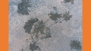 Goa Outing to Palolem Beach